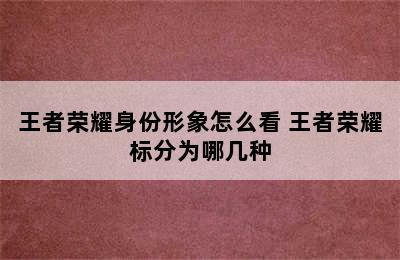 王者荣耀身份形象怎么看 王者荣耀标分为哪几种